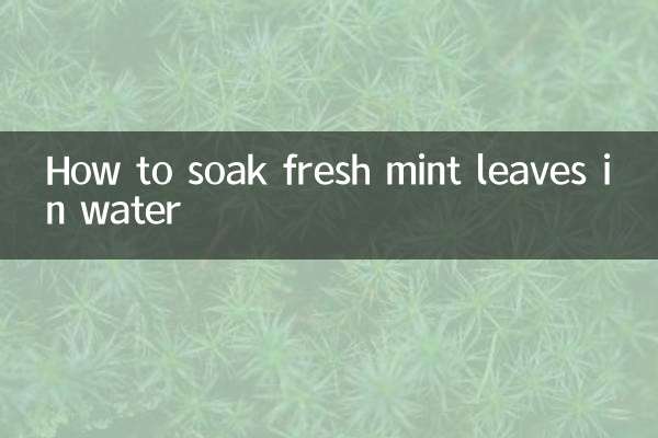 新鮮なミントの葉を水に浸す方法
