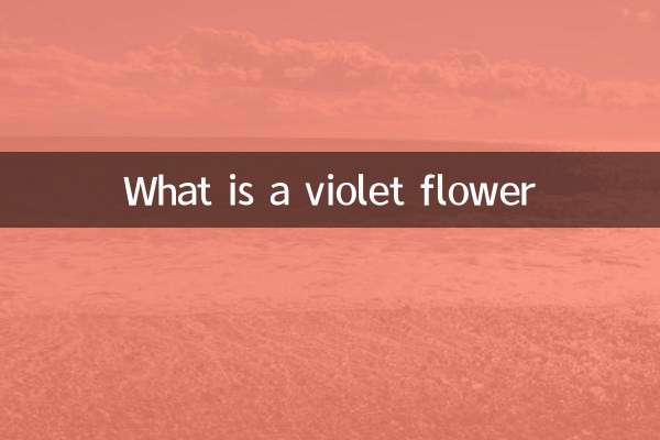 ¿Qué es una flor violeta?