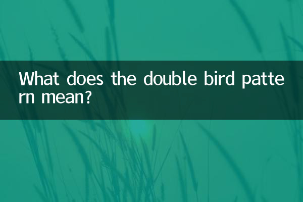 डबल बर्ड पैटर्न का क्या मतलब है?