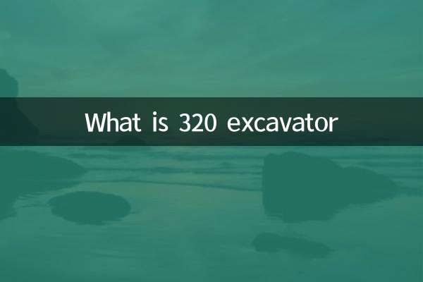¿Qué es la excavadora 320?