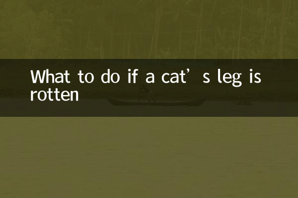 Was tun, wenn das Bein einer Katze faul ist?