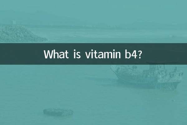维生素b4是什么药