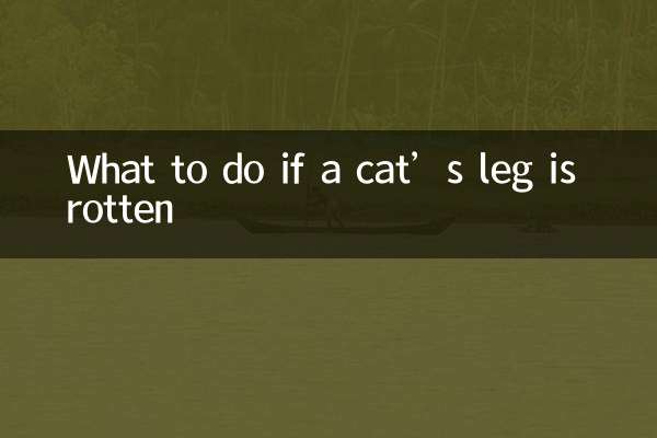 O que fazer se a perna de um gato estiver podre