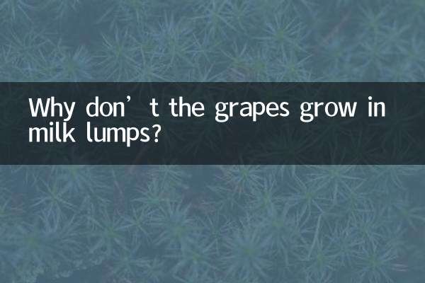 Por que as uvas não crescem em pedaços de leite?