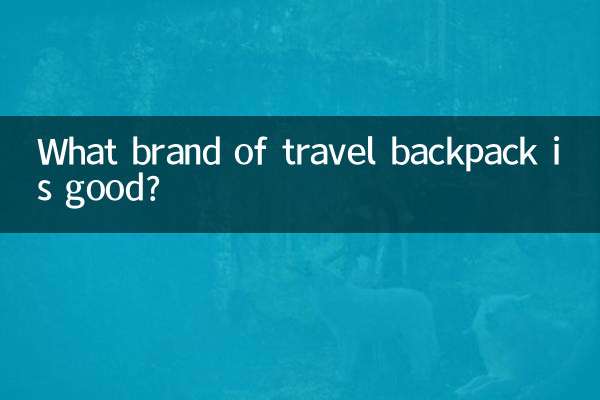ভ্রমণ ব্যাকপ্যাক কোন ব্র্যান্ড ভাল?