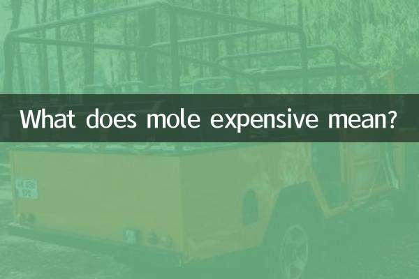 痣贵是什么意思