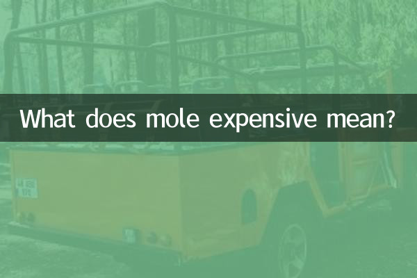 痣貴是什麼意思