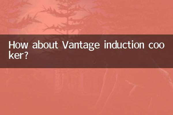 Wie wäre es mit dem Vantage-Induktionsherd?