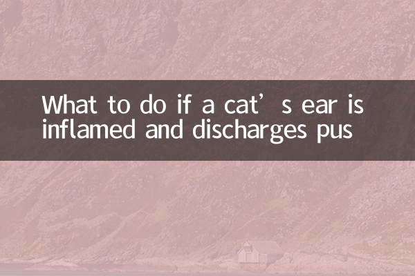 貓耳朵發炎怎麼辦流膿