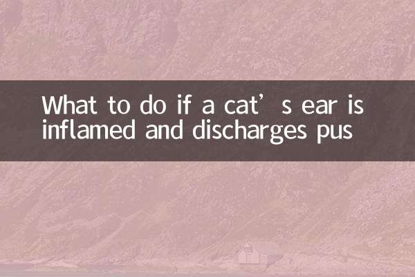 貓耳朵發炎怎麼辦流膿