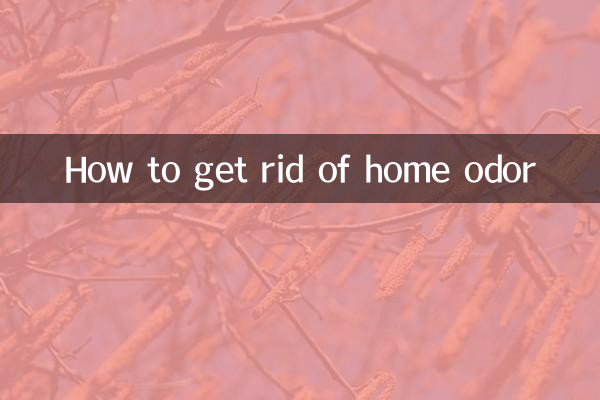 Como se livrar do odor doméstico