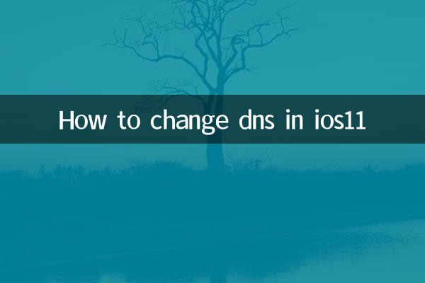 How to change dns in ios11