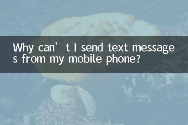 Warum kann ich von meinem Mobiltelefon aus keine SMS versenden?