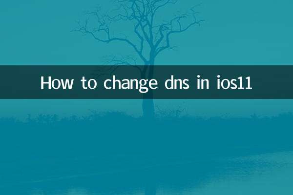 IOS11 میں DNS کو کیسے تبدیل کریں