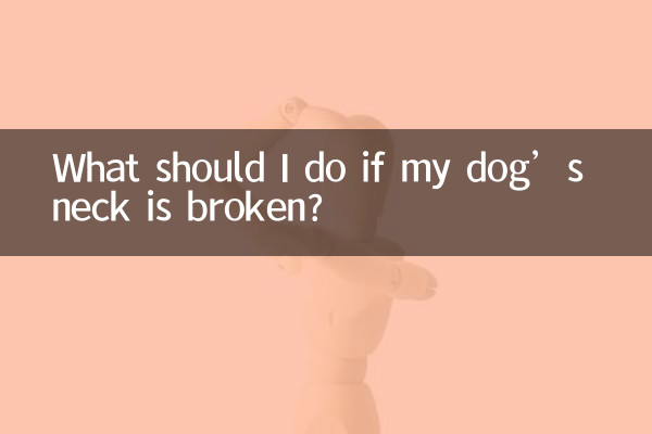 اگر میرے کتے کی گردن ٹوٹ گئی تو مجھے کیا کرنا چاہئے؟
