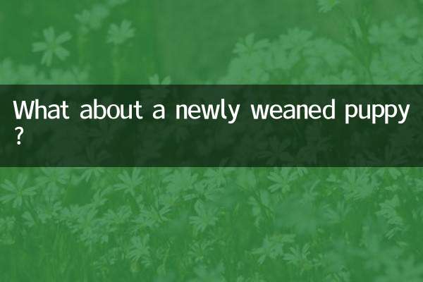 А как насчет только что отнятого от груди щенка?