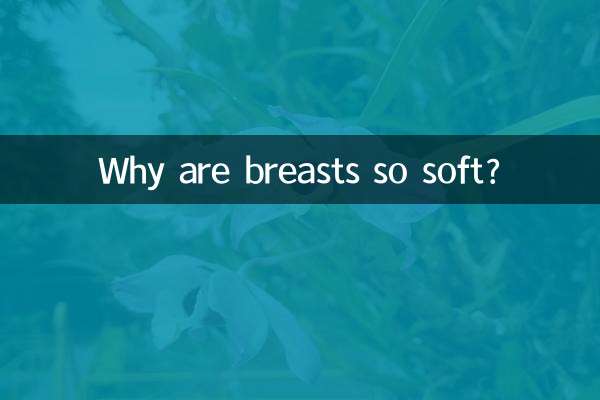 为什么乳房很柔软