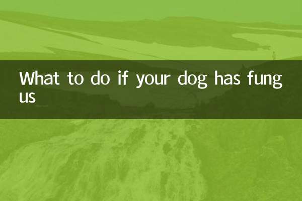 আপনার কুকুরের ছত্রাক থাকলে কি করবেন