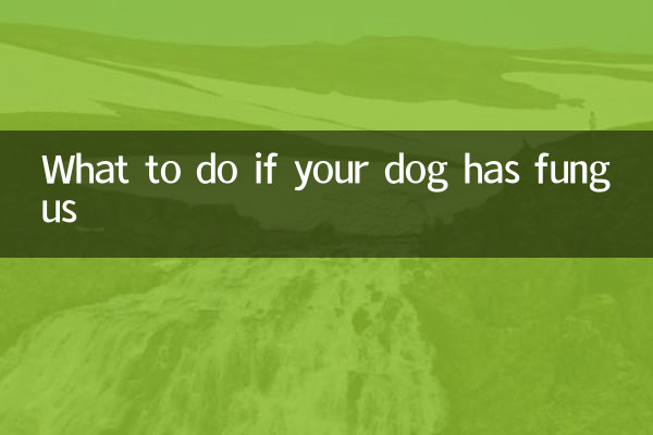আপনার কুকুরের ছত্রাক থাকলে কি করবেন