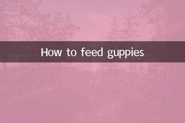 How to feed guppies
