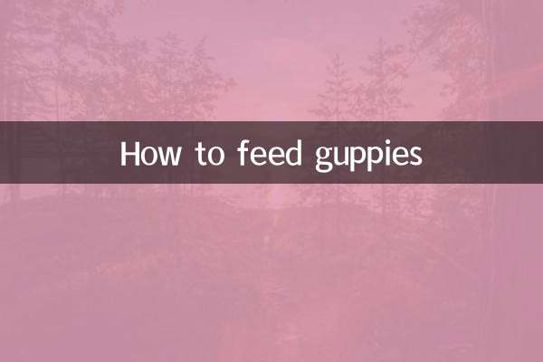 How to feed guppies
