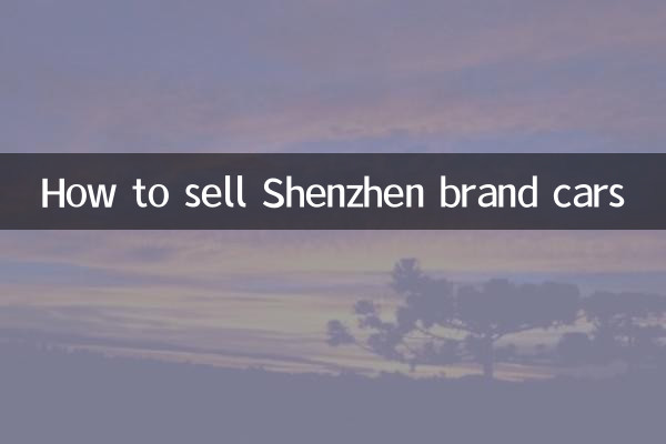 Come vendere auto del marchio Shenzhen