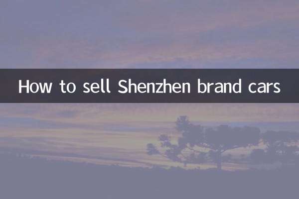 Come vendere auto del marchio Shenzhen