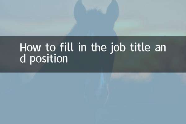 Como preencher o cargo e a posição