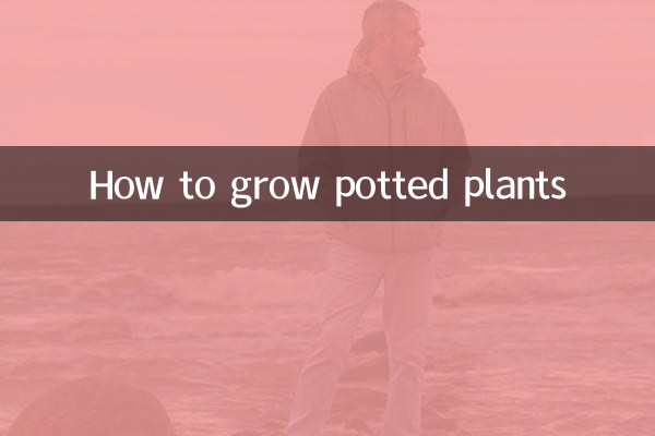 गमले में पौधे कैसे उगायें