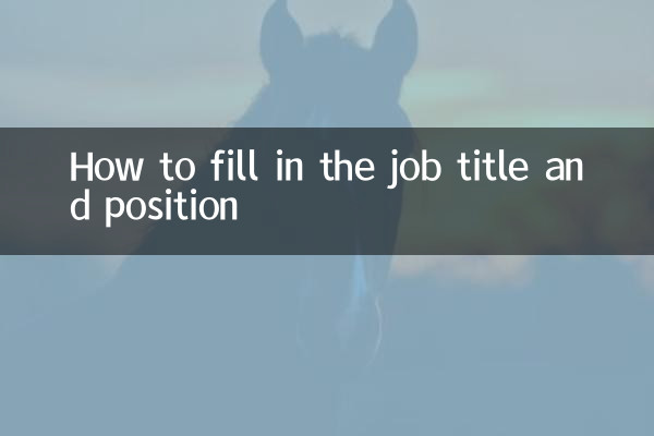 Como preencher o cargo e a posição