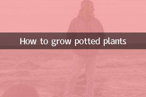 鉢植えの育て方