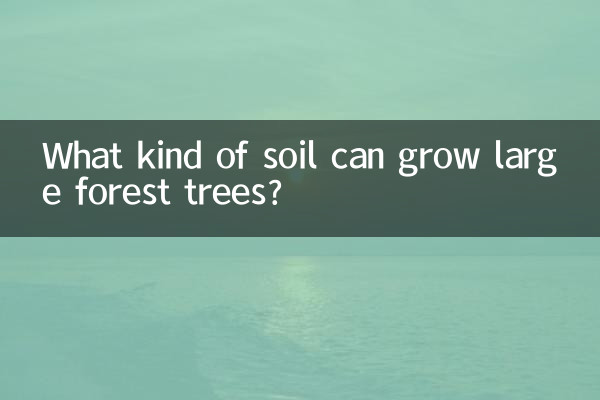 কি ধরনের মাটিতে বড় বনের গাছ জন্মাতে পারে?