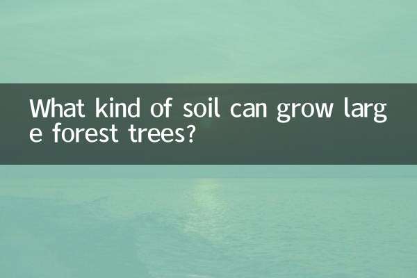 큰 숲나무가 자랄 수 있는 토양은 어떤 것인가요?