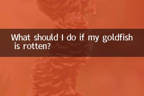 Cosa devo fare se il mio pesce rosso è marcio?