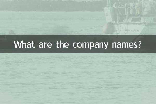 회사 이름은 무엇입니까?