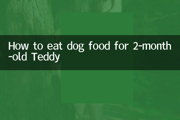 2 महीने के टेडी के लिए कुत्ते का खाना कैसे खाएं