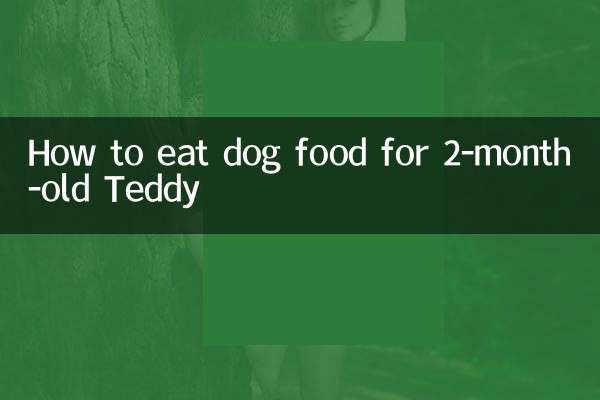 نحوه خوردن غذای سگ برای تدی 2 ماهه