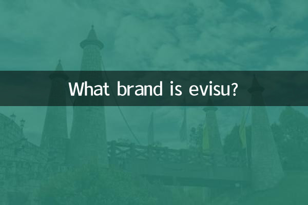 ما هي العلامة التجارية EVISU؟