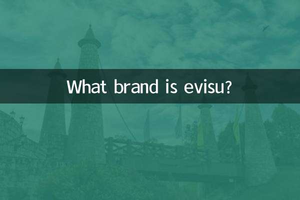 ما هي العلامة التجارية EVISU؟