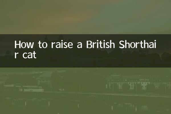 ブリティッシュショートヘアの育て方