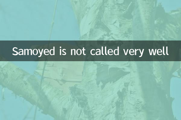 Samoyède ne s'appelle pas très bien