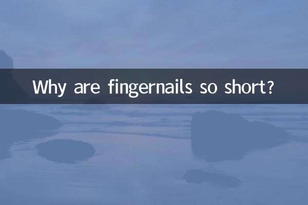 なぜ爪はこんなに短いのでしょうか？