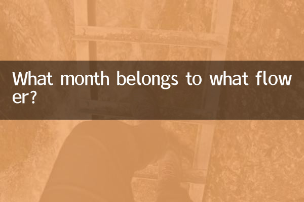 什么月属什么花