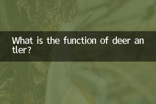 हिरण के सींग का क्या कार्य है?