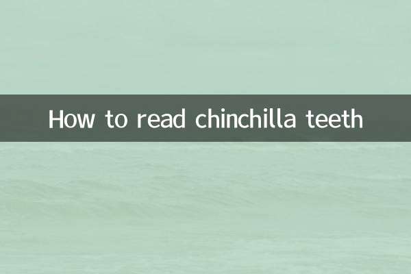 Comment lire les dents d'un chinchilla