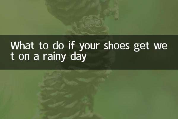 What to do if your shoes get wet on a rainy day