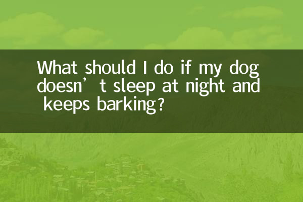 犬が夜寝ずに吠え続ける場合はどうすればよいですか?