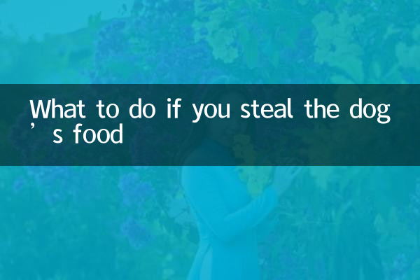What to do if you steal the dog’s food