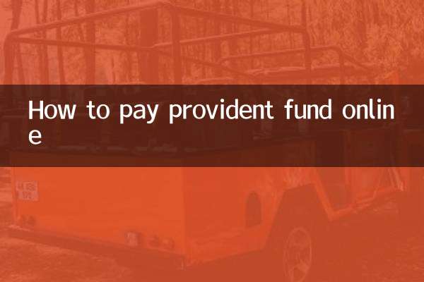 Come pagare la cassa di previdenza online