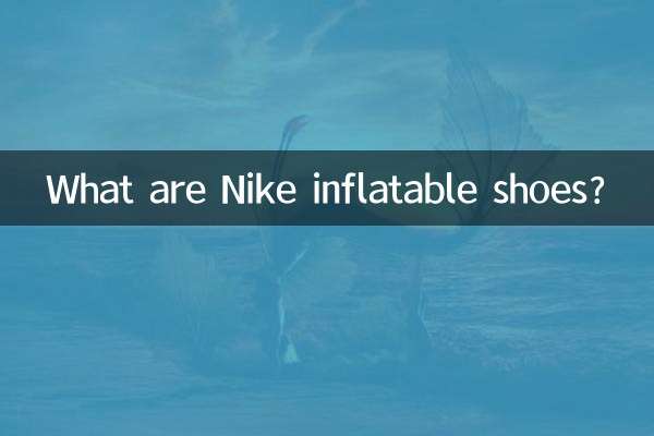 ¿Qué son los zapatos inflables Nike?